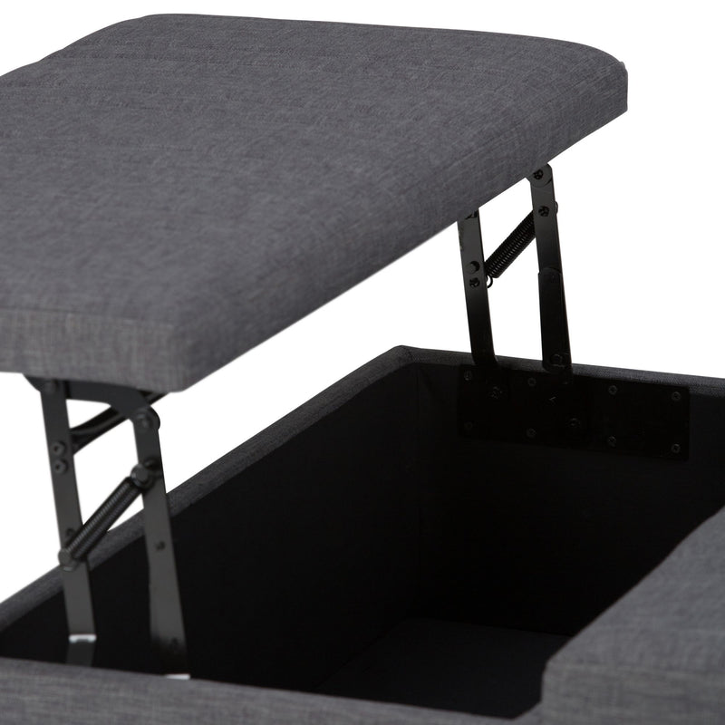 Ellis - Coffee Table Storage Ottoman Contemporary Design