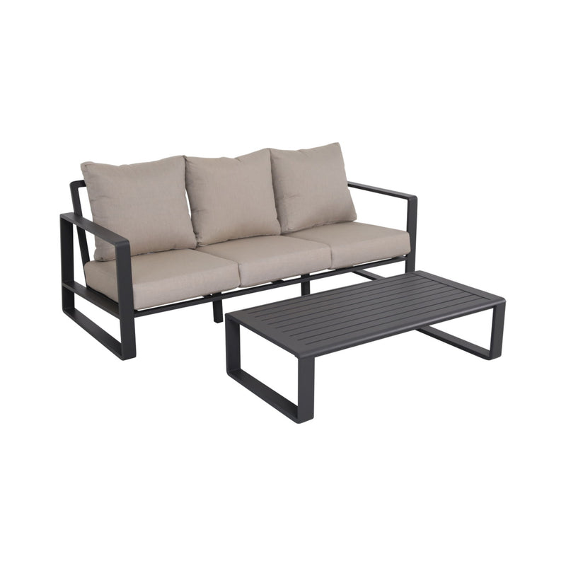 Durable Sofa With Rectangular Coffee Table